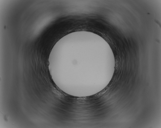 X0000097670574200803281015