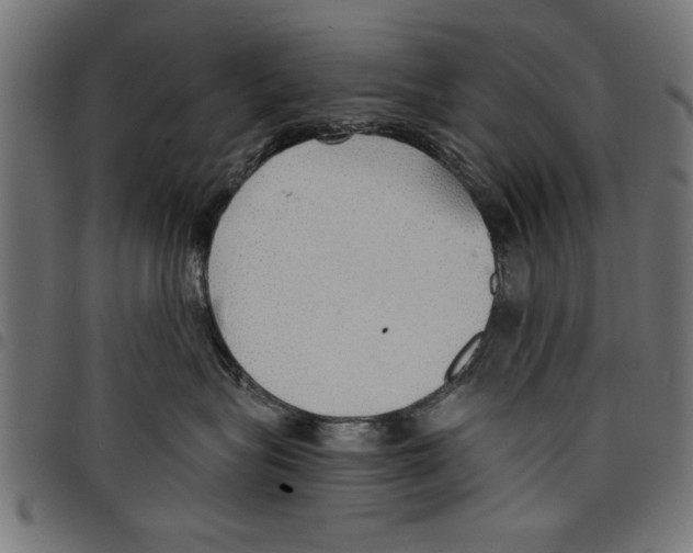 X0000097670575200803281015