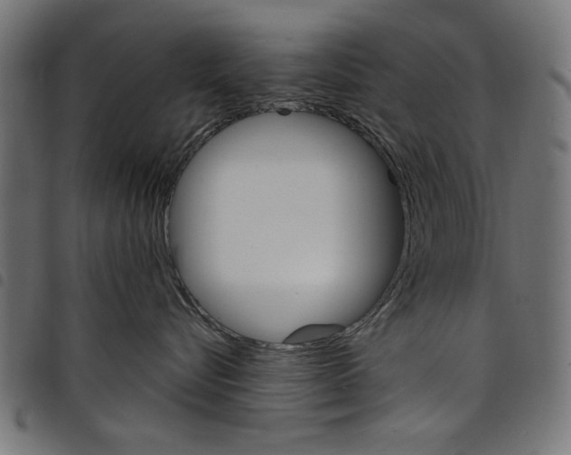 X0000097670576200803281015