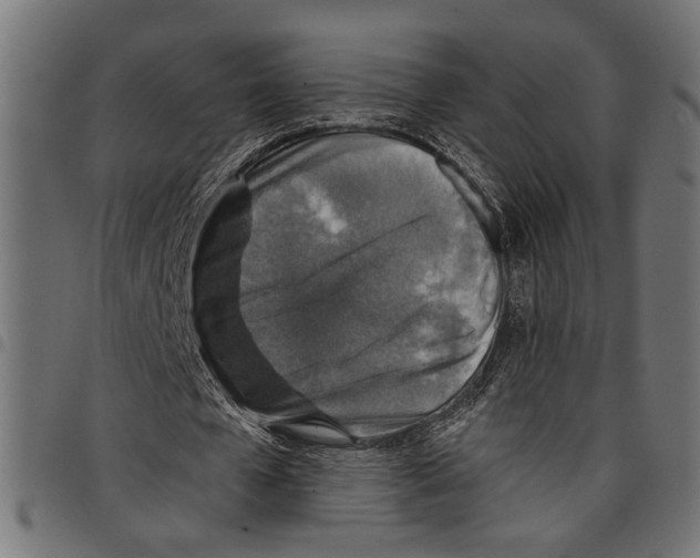 X0000097670577200803281014