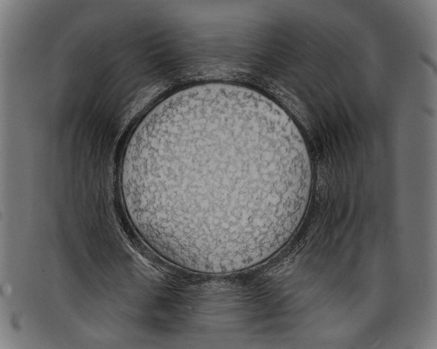 X0000097670578200803281014