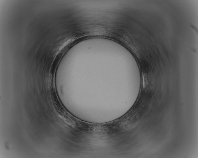 X0000097670579200803281014