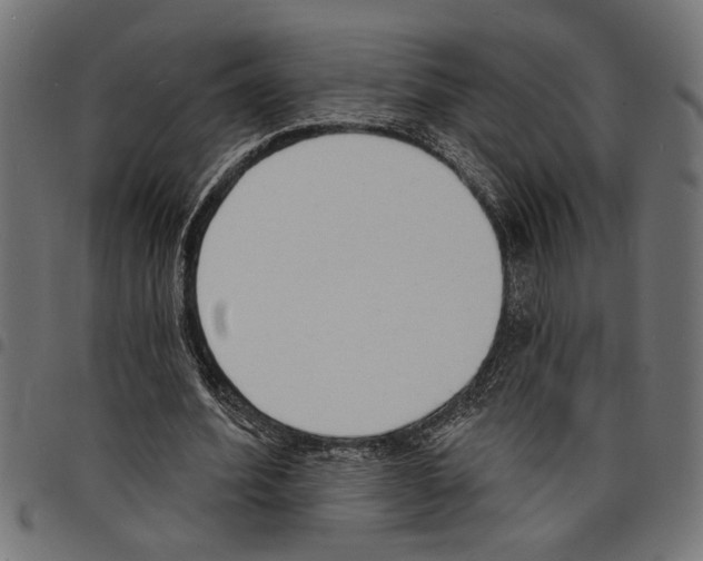 X0000097670580200803281014