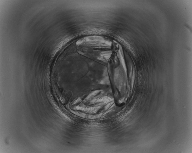 X0000097670581200803281014