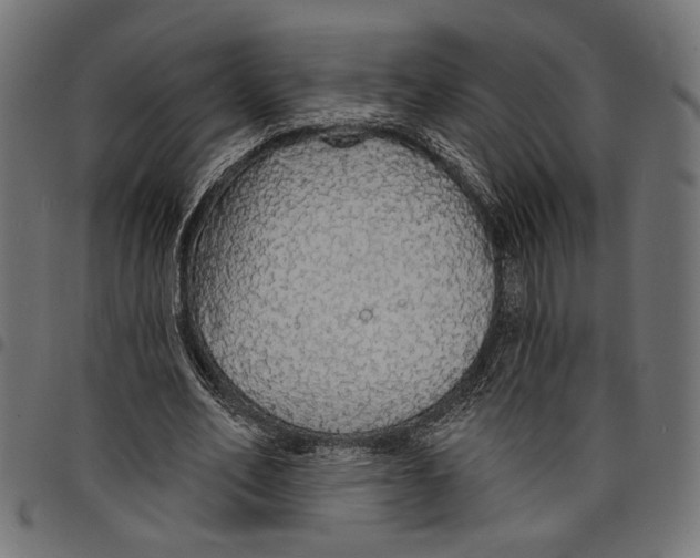 X0000097670582200803281014