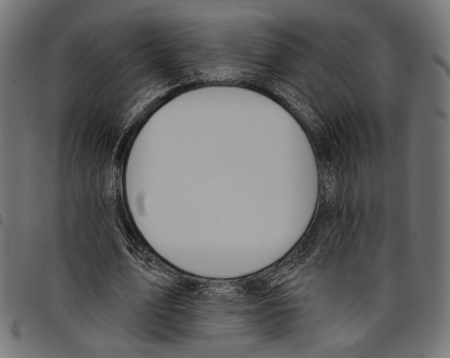 X0000097670583200803281014