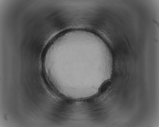X0000097670584200803281014