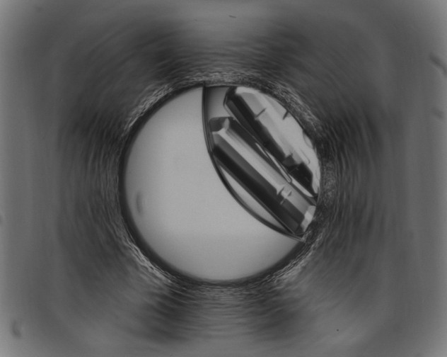 X0000097670585200803281014