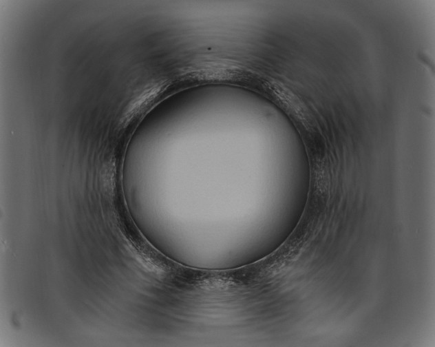 X0000097670586200803281014