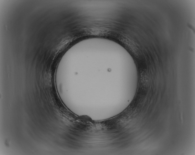 X0000097670587200803281014