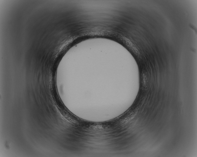 X0000097670588200803281014