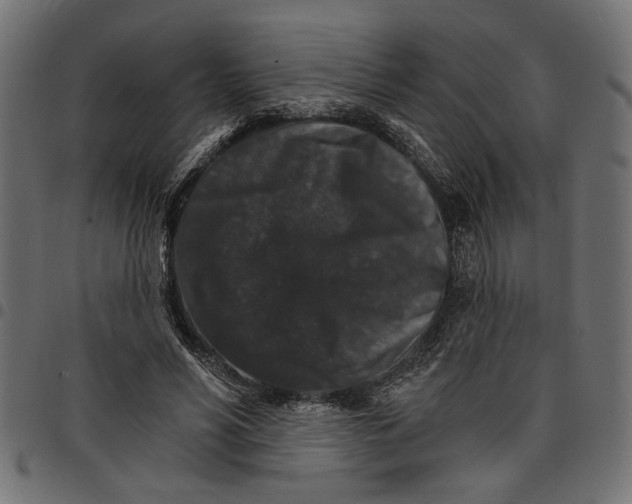 X0000097670590200803281014