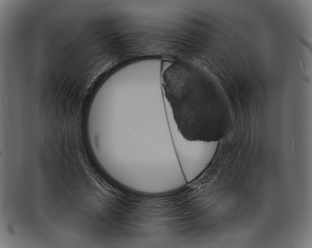 X0000097670591200803281014