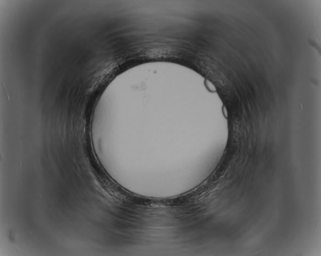X0000097670592200803281014