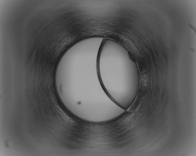 X0000097670593200803281014