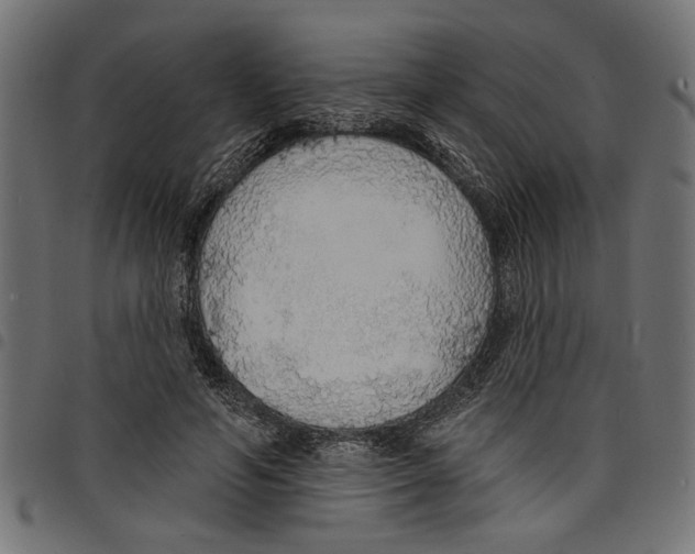 X0000097670594200803281014