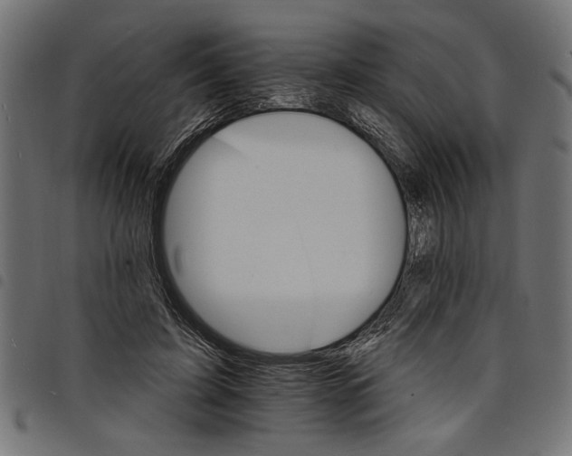 X0000097670595200803281014