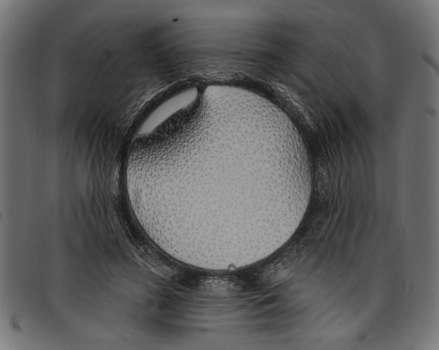 X0000097670596200803281014