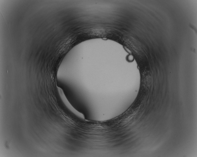 X0000097670597200803281014