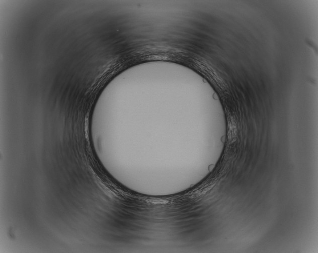 X0000097670598200803281014