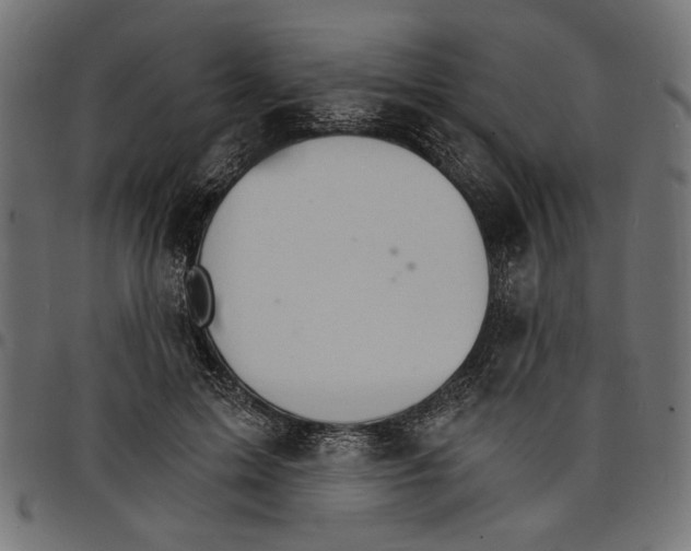X0000097670599200803281014