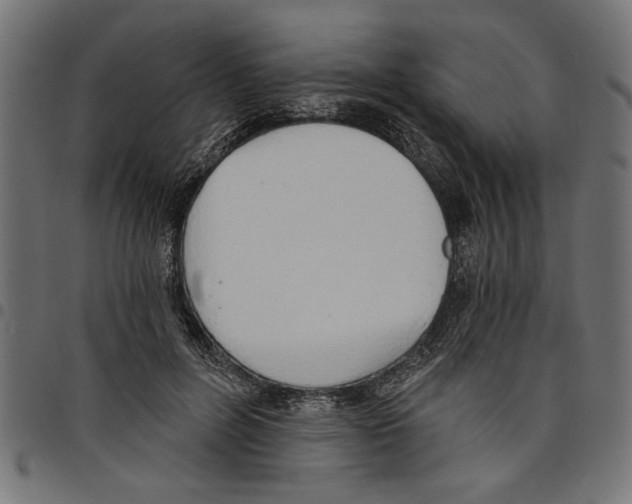 X0000097670600200803281014