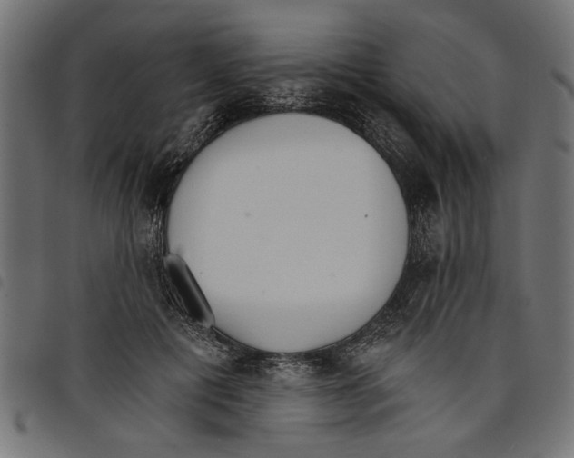 X0000097670601200803281014