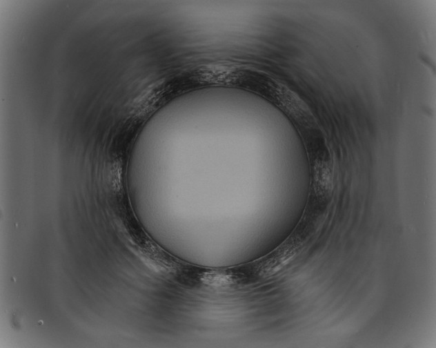 X0000097670602200803281014