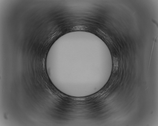 X0000097670603200803281014