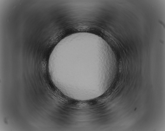 X0000097670604200803281014