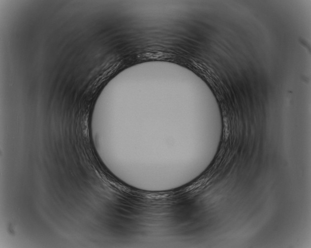 X0000097670606200803281014
