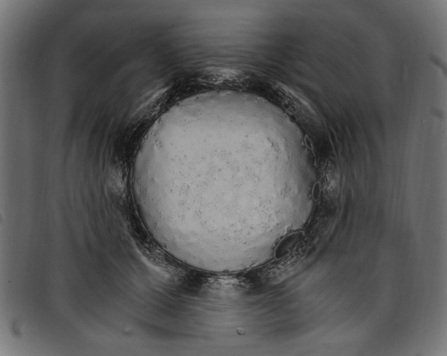 X0000097670607200803281014