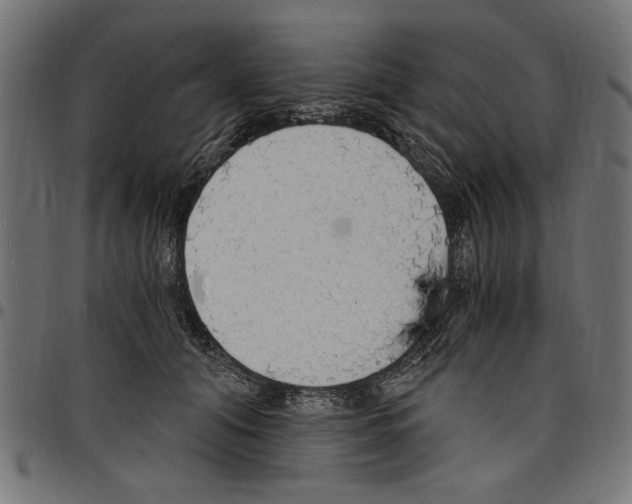 X0000097670608200803281014