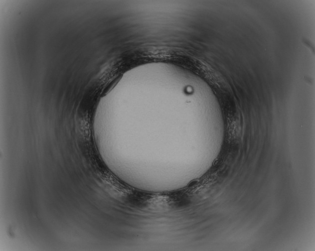 X0000097670609200803281014