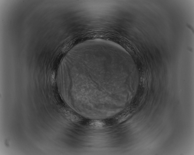 X0000097670610200803281014