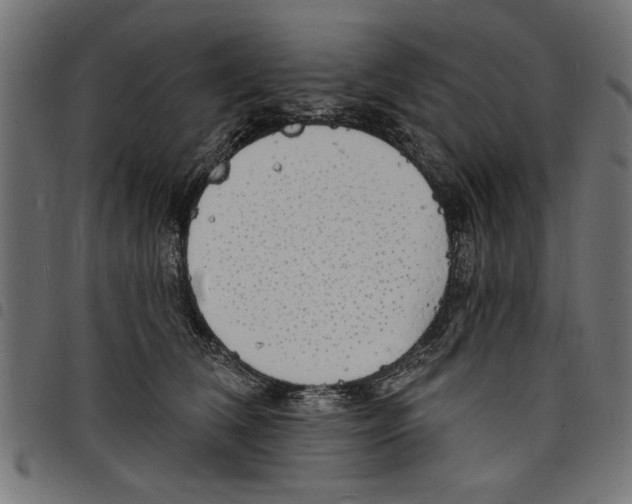 X0000097670612200803281014