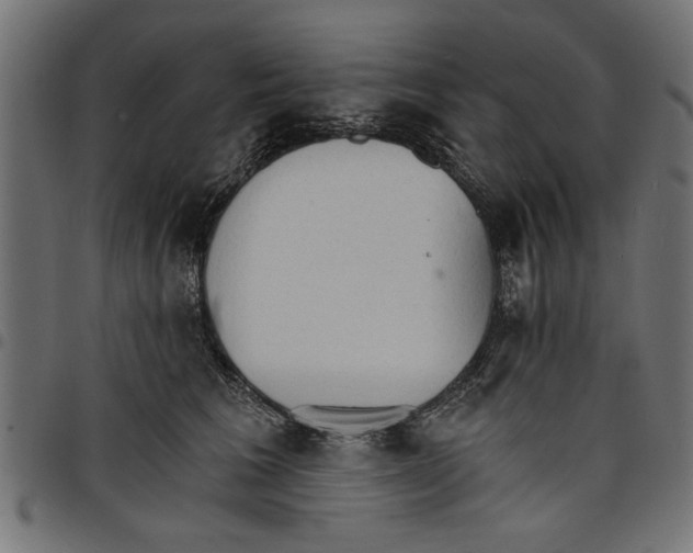 X0000097670613200803281014