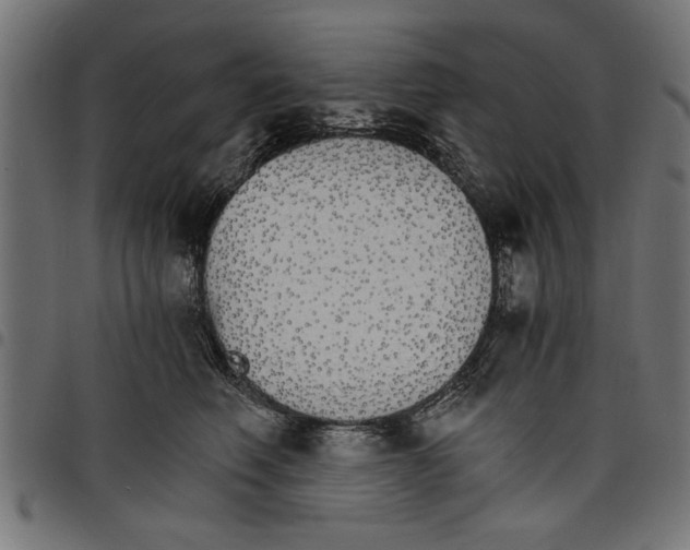 X0000097670614200803281014