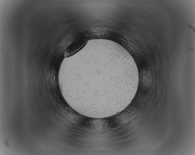 X0000097670615200803281014