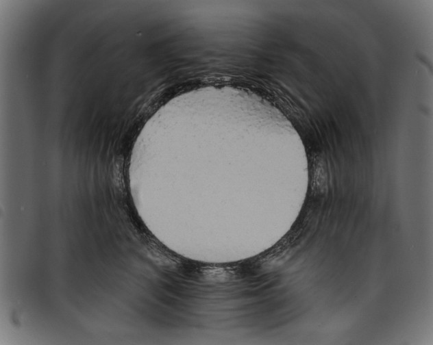 X0000097670616200803281014