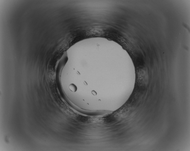 X0000097670617200803281014