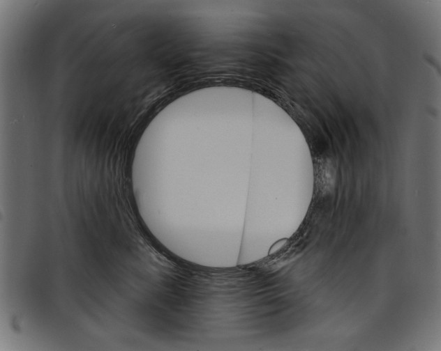 X0000097670619200803281014