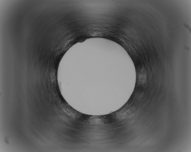 X0000097670620200803281014