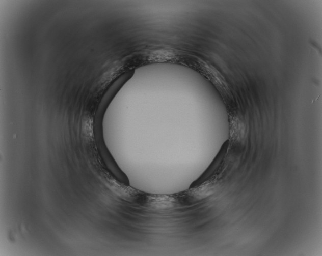 X0000097670621200803281014