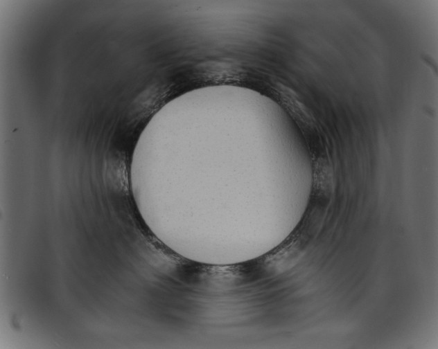 X0000097670622200803281014