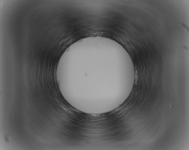 X0000097670623200803281014
