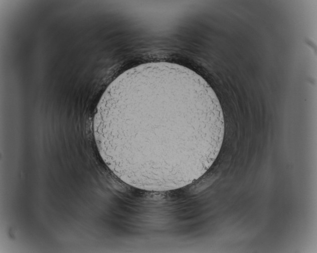 X0000097670624200803281014