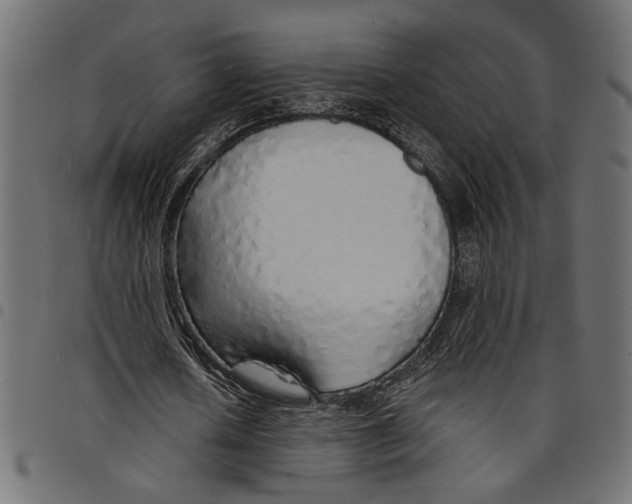 X0000097670626200803281013