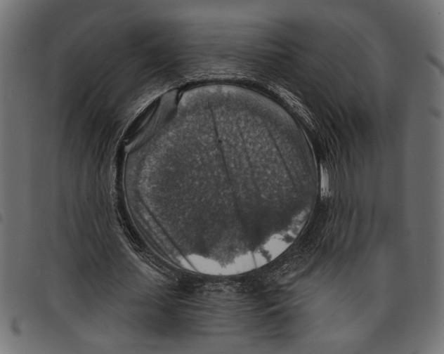 X0000097670627200803281013