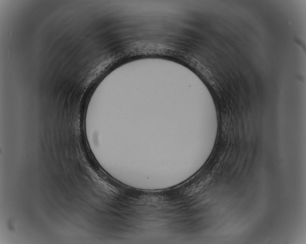 X0000097670629200803281013